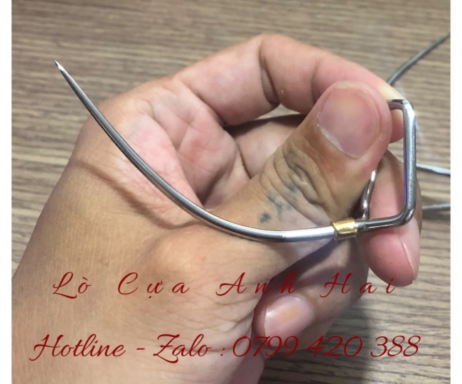 Cựa Gà Nòi 67 Việt Lai Cải Tiến