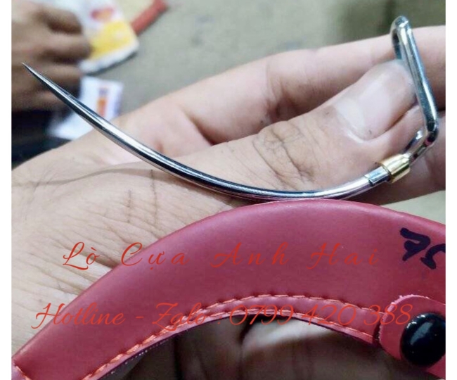 Cựa Gà Nòi 75 Việt Lai 2li8 Thông