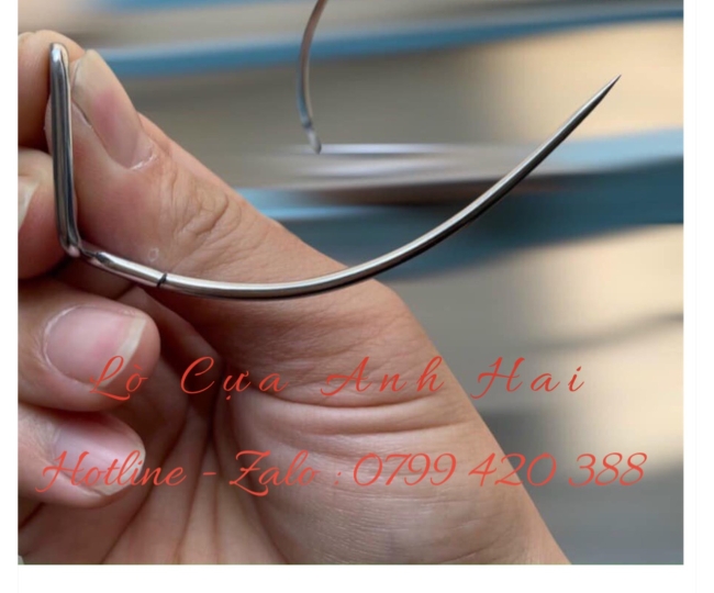 Cựa Gà Nòi 78 Việt Lai Không Bọc Đồng